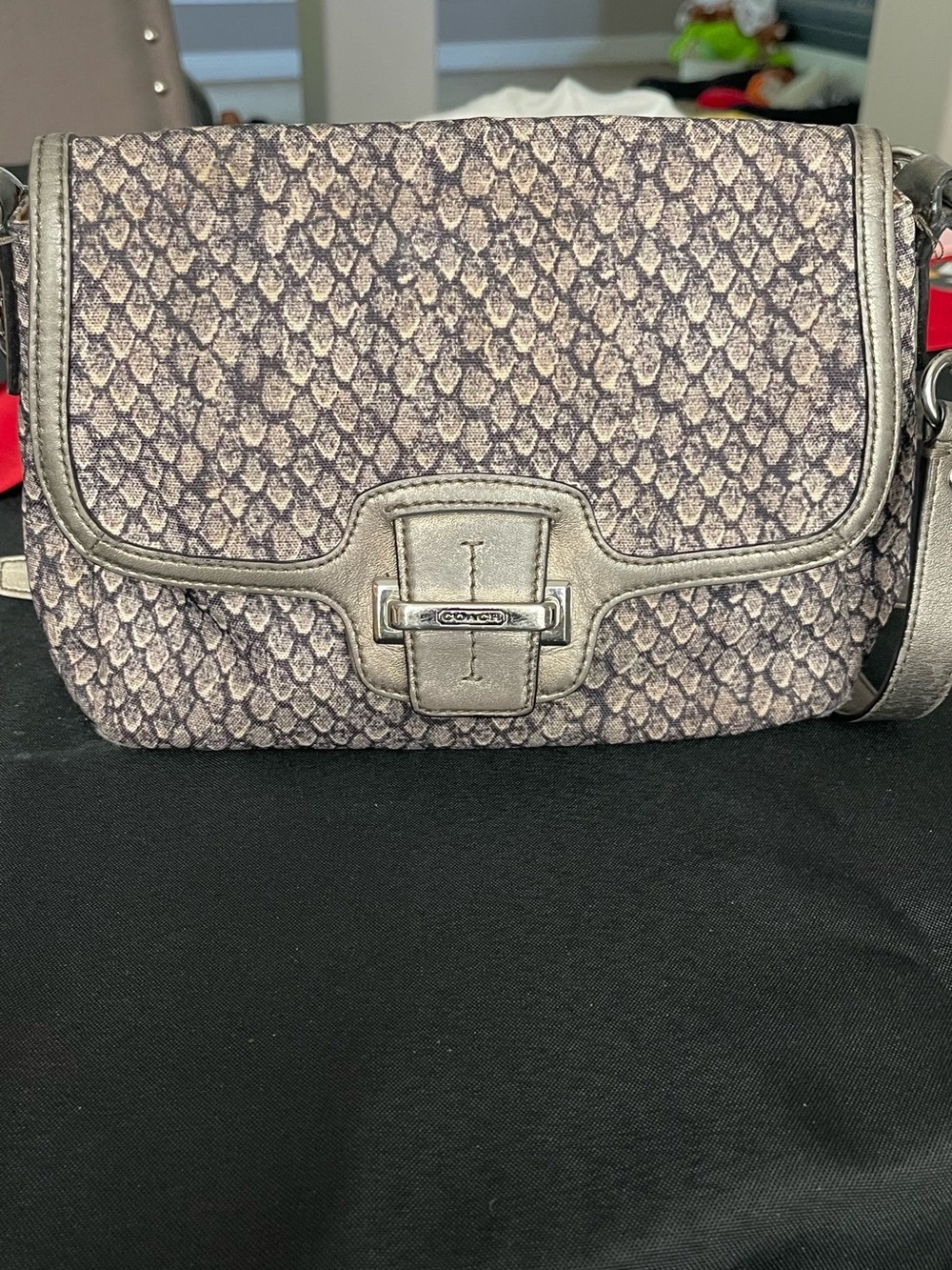 Coach Metallic Pewter Signature Taylor Snake skin canvas Crossbody Bag 10”x7”